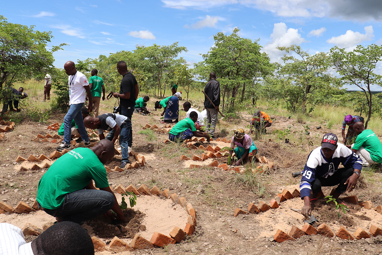 Tree planting at Bowa Primary School Tree planting at Bowa Primary School