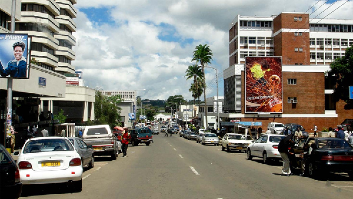 Malawi: &#039;Fast-tracked exports could rescue economy&#039;